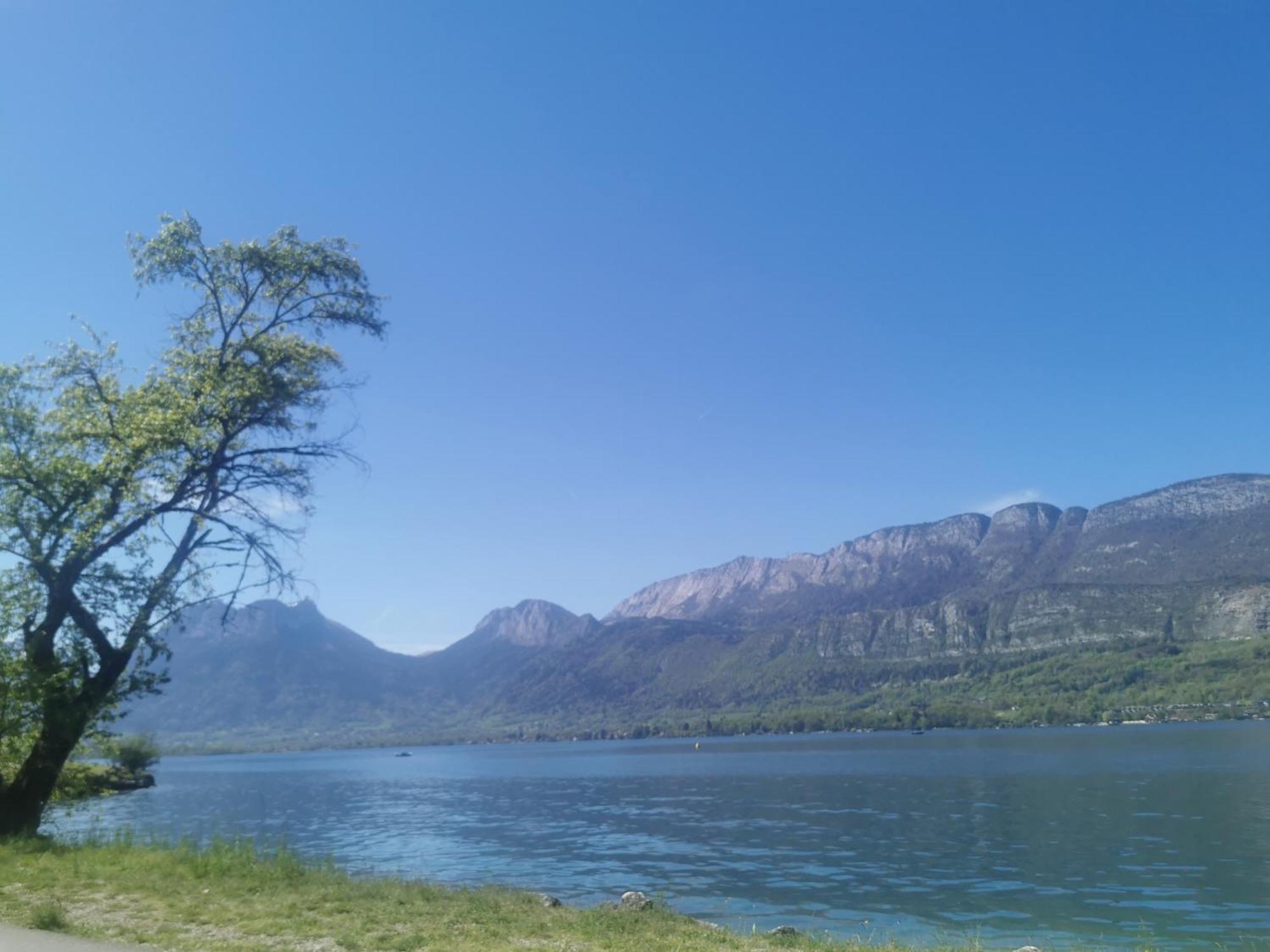 Charmant Appartement A 1 Minute Du Lac อานซี ภายนอก รูปภาพ