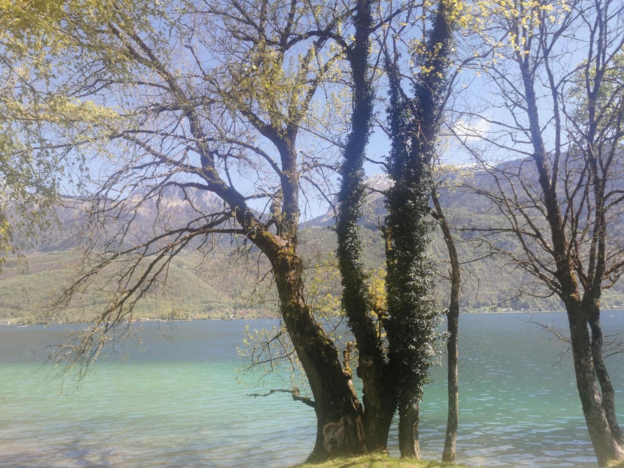 Charmant Appartement A 1 Minute Du Lac อานซี ภายนอก รูปภาพ
